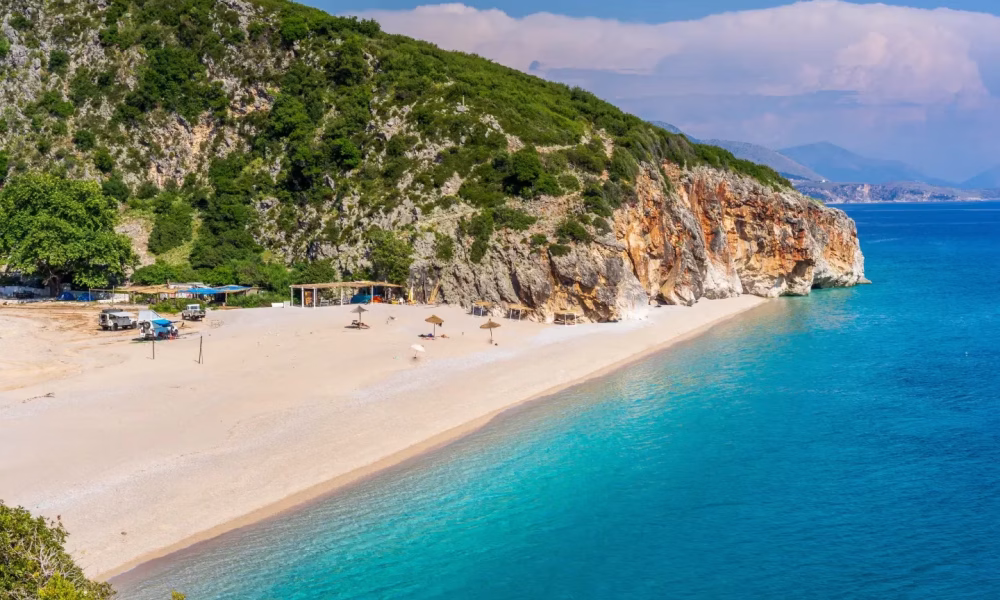 Car rental services with GPS and easy online booking for your trip