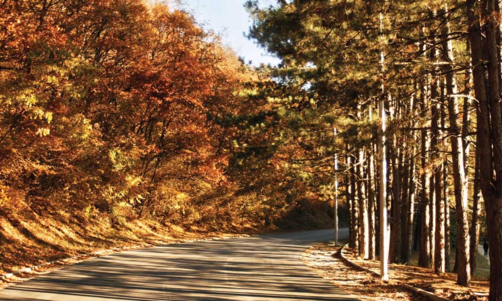 Travel road in Albania