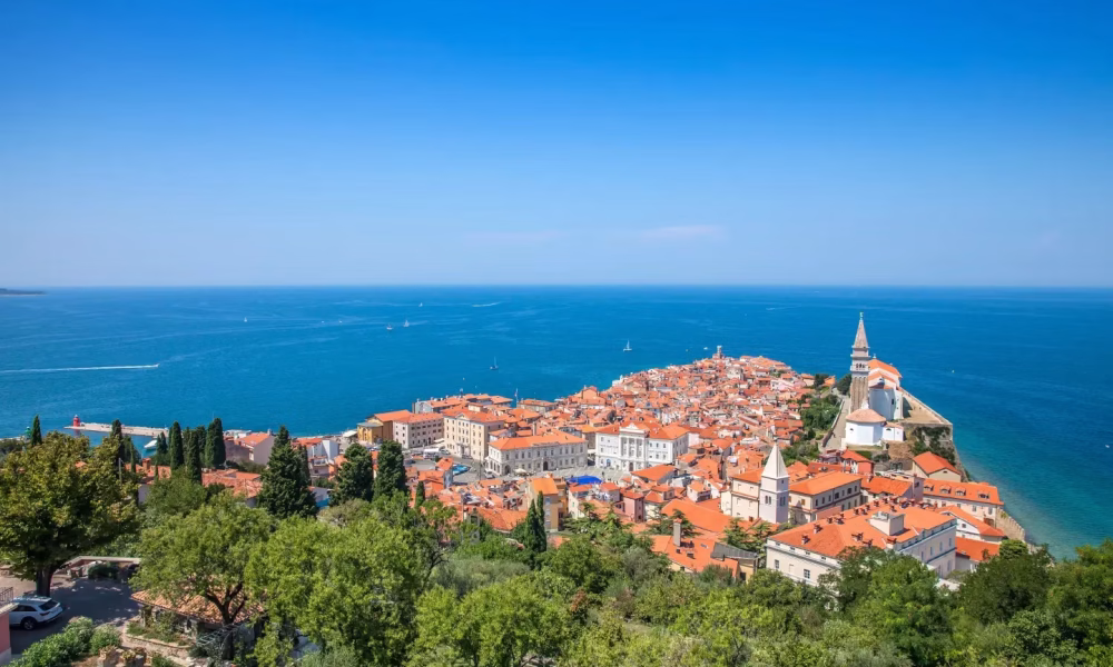 Rentout in Montenegro