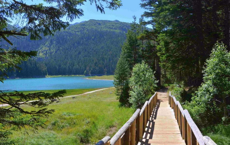 Car rentals Montenegro